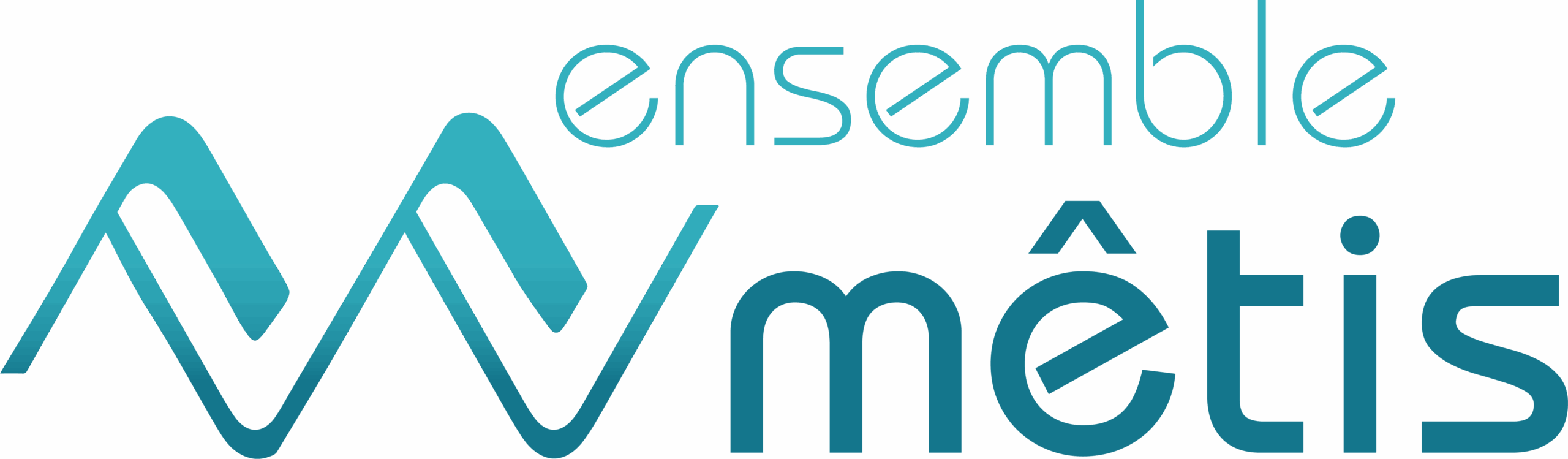 Ensemble Métis